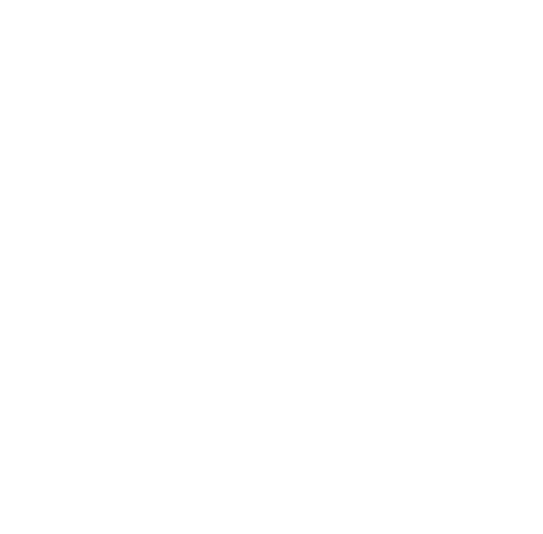 Simple airplane image next to Connect to Airline Information link.