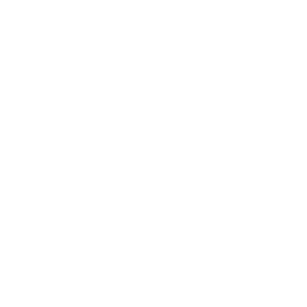 The icon for Twitter, clicking this will take you to our Twitter